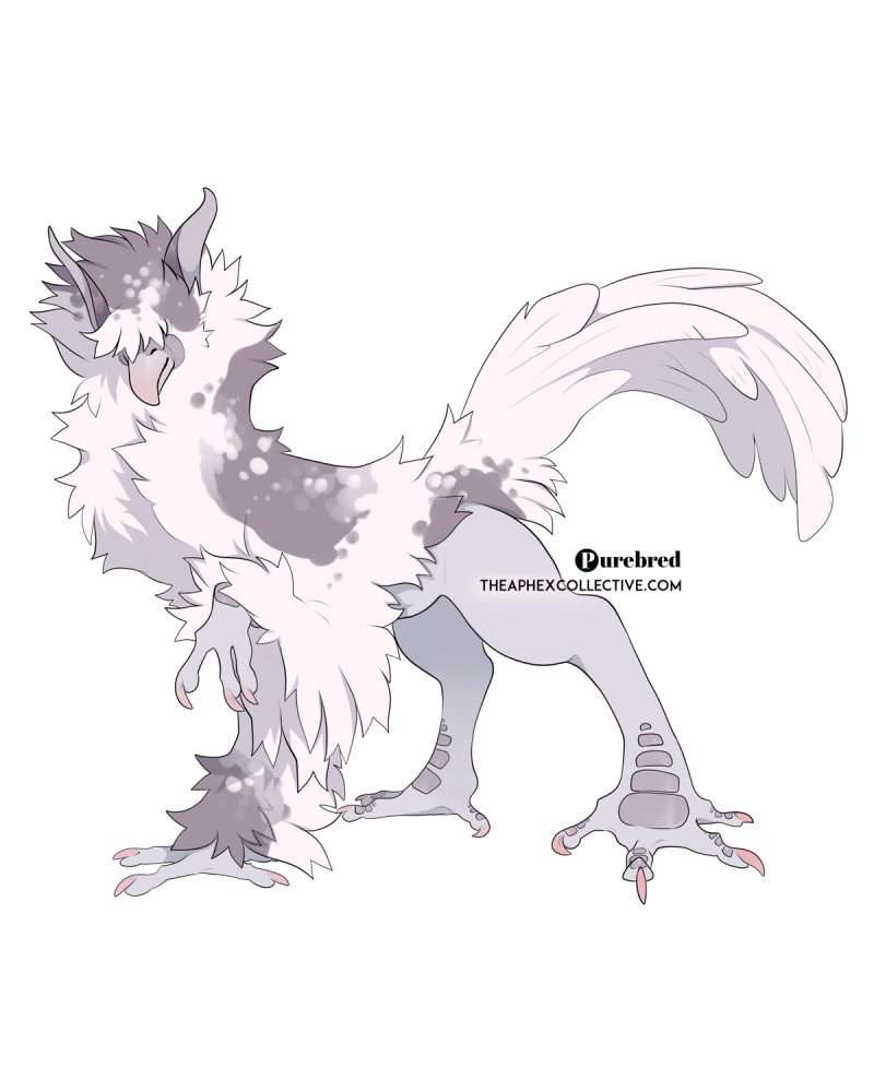 COMP-2193: Purebreed - Grey Varae