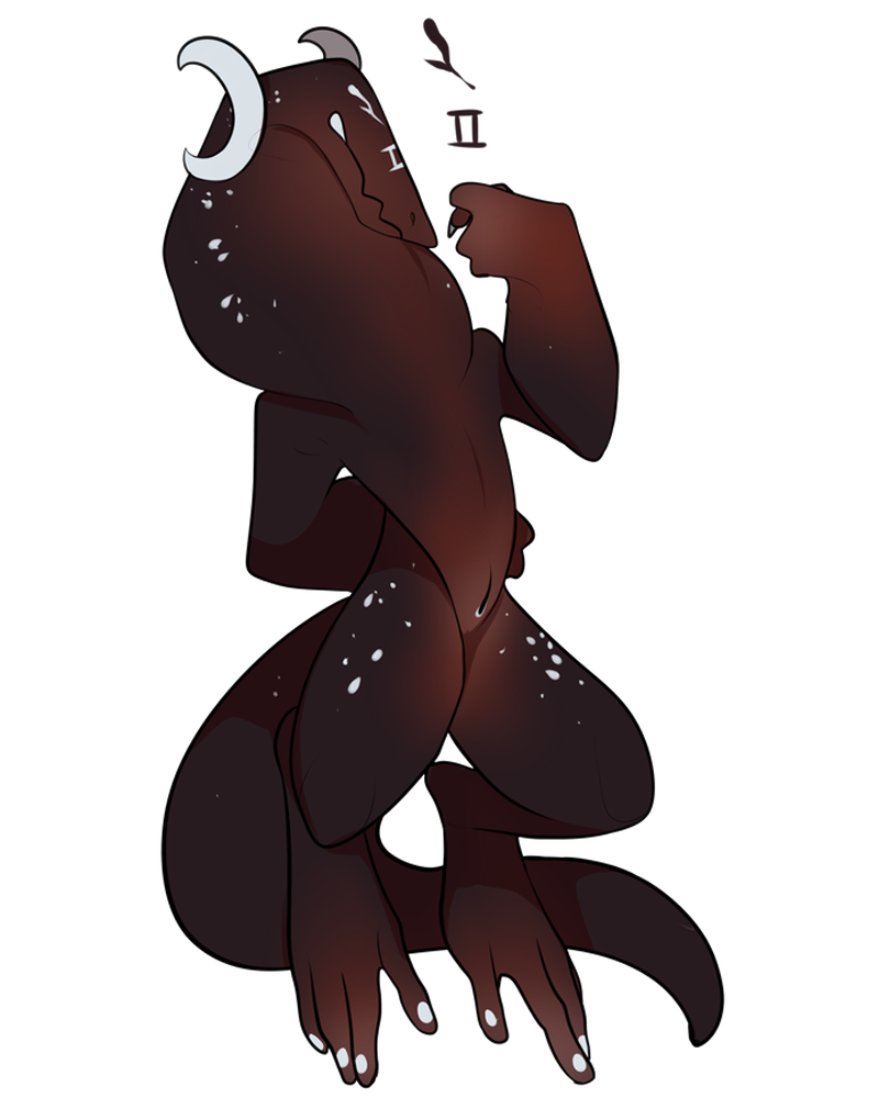 ETHN-848: Nokken