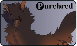 <a href="https://www.elyxiumbound.com/world/items?name=(C) Brown Nudian" class="display-item">(C) Brown Nudian</a>