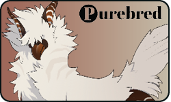 <a href="https://www.elyxiumbound.com/world/items?name=(U) Coffee Nudian" class="display-item">(U) Coffee Nudian</a>