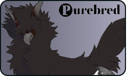 <a href="https://www.elyxiumbound.com/world/items?name=(C) Black Casleon" class="display-item">(C) Black Casleon</a>