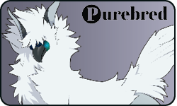 <a href="https://www.elyxiumbound.com/world/items?name=(C) Albino Oxin" class="display-item">(C) Albino Oxin</a>