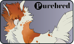 <a href="https://www.elyxiumbound.com/world/items?name=(C) Caramel Varae" class="display-item">(C) Caramel Varae</a>