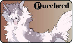 <a href="https://www.elyxiumbound.com/world/items?name=(U) Gray Varae" class="display-item">(U) Gray Varae</a>