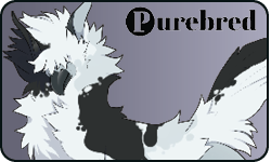 <a href="https://www.elyxiumbound.com/world/items?name=(C) White Varae" class="display-item">(C) White Varae</a>