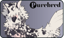 <a href="https://www.elyxiumbound.com/world/items?name=(C) Grey Gospel" class="display-item">(C) Grey Gospel</a>